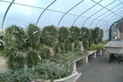 Part-of-the-wreath-inventory