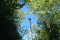 "There's the sky!" Scott Davis helping us out