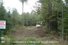 Building-wood-roads-and-trails