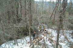 Cleaning-up-trees-damaged-by-wind