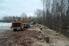 Cutting-down-trees-that-had-grown-into-a-hay-field