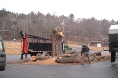Finishing-up-a-tree-take-down