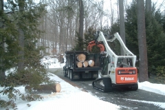 Removing  logs from the site