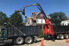 Loading-tree-blocks-for-disposal