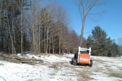 Our-bobcat-with-the-tree-shear-moving-a-cut-tree-to-the-wood-pile