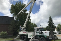 Pruning-from-the-Autocar-lift