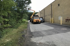 Pruning-behind-Hobby-Lobby-in-Claremont