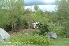 Removing-poor-quality-trees-in-the-forest