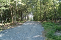 Wood-road-we-built-to-carry-large-loads