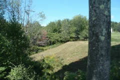 Bobcat-mowed-dam-face-to-maintenance-and-to-discourage-invasives