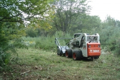 Bobcat-with-Timber-Axe-brush-cutter-clearing-field-full-of-invasives