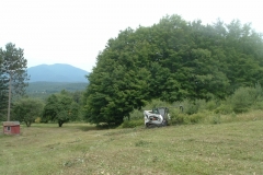 Mowing-a-field-as-well-as-new-invasive-platns-that-had-started