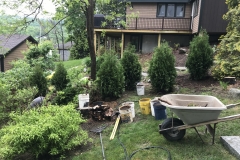 Installing a new green fence