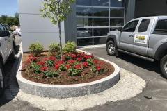 2019 : Plants / color for Ford of Claremont