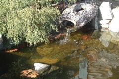 The nursery pool in 2013